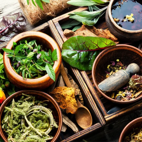 Curso de Fitoterapia