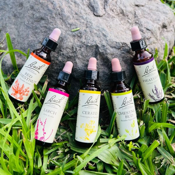 Diplomado Flores de Bach